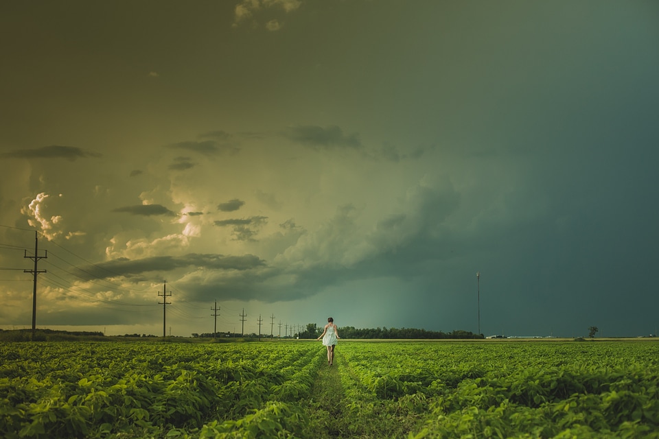woman in a white dress walks through Manitoba prairie fields