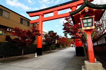伏見稲荷/Fushimi Inari Shrine