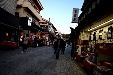 伏見稲荷/Fushimi Inari Shrine