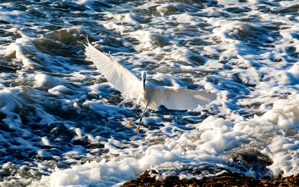 20210212-IMG_9138