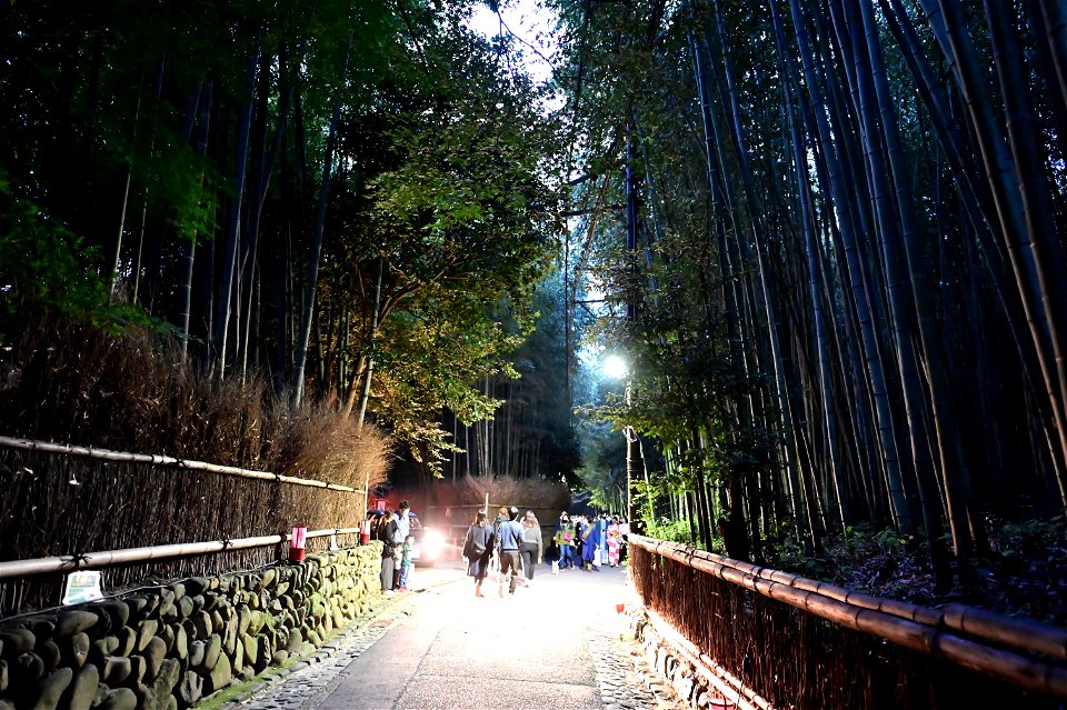 嵐山と竹林の小径 / Kyoto Arashiyama and Bamboo forest path