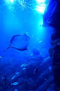 京都水族館 / Kyoto Aquarium