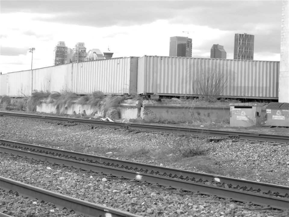 Black and White Calgary