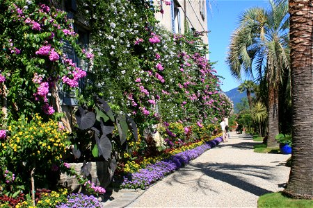 Isola Madre, Lake Maggiore