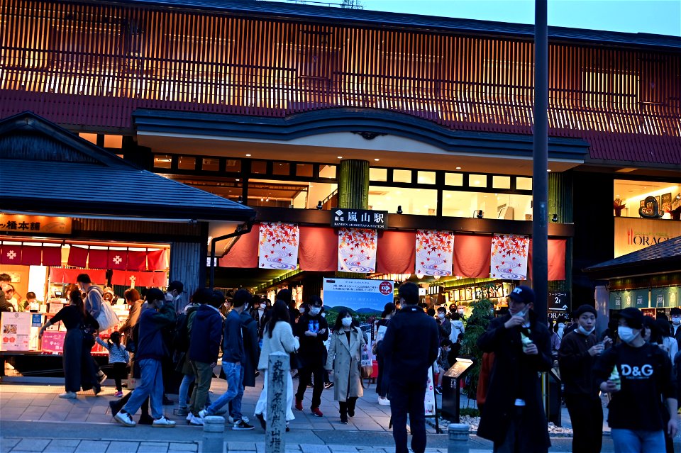 嵐山と竹林の小径 / Kyoto Arashiyama and Bamboo forest path