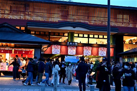 嵐山と竹林の小径 / Kyoto Arashiyama and Bamboo forest path