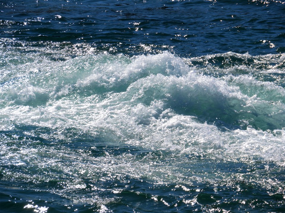 Bow River Rapids