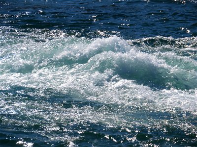 Bow River Rapids