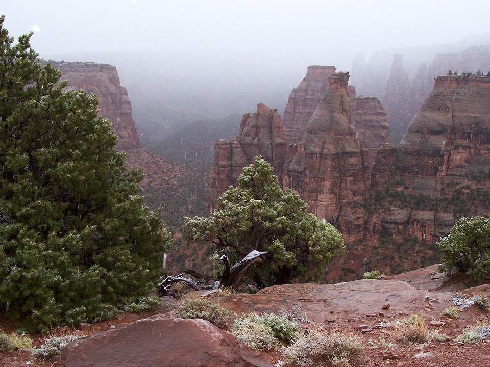 Foggy Monument Canyon