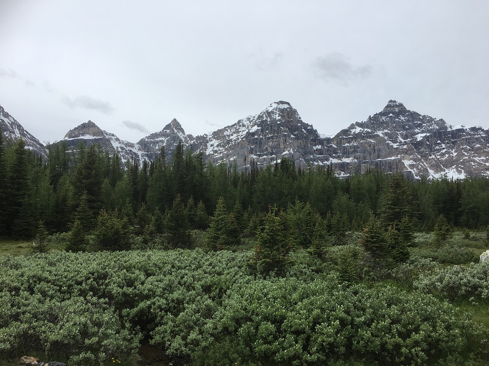 Larch Valley Trail - The Ten Peaks, Moraine Lake, Banff