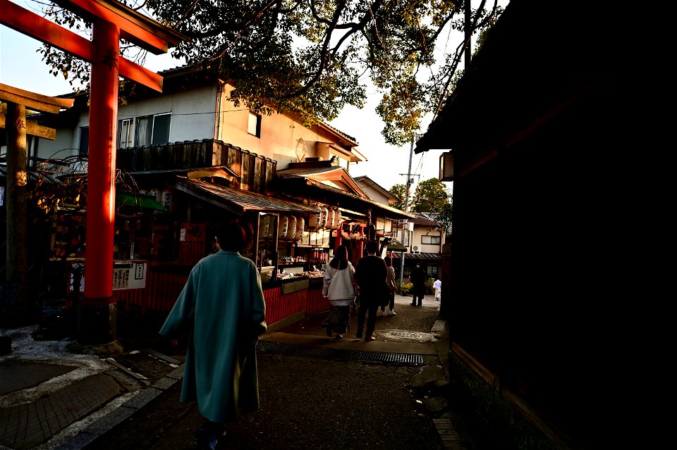 伏見稲荷/Fushimi Inari Shrine