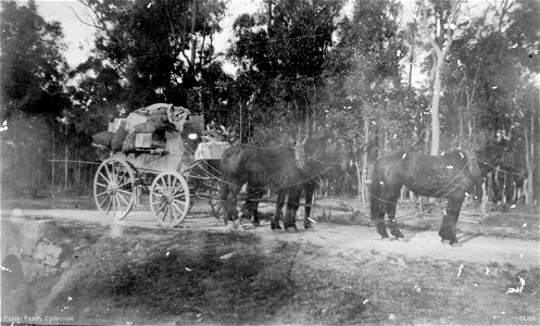 T. V. Foster's delivery wagon, [n.d.] photo
