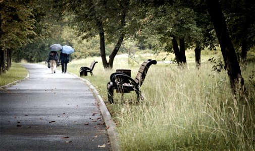 Park & Walking & Rain