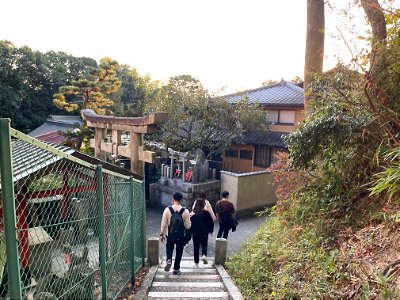 伏見稲荷/Fushimi Inari Shrine