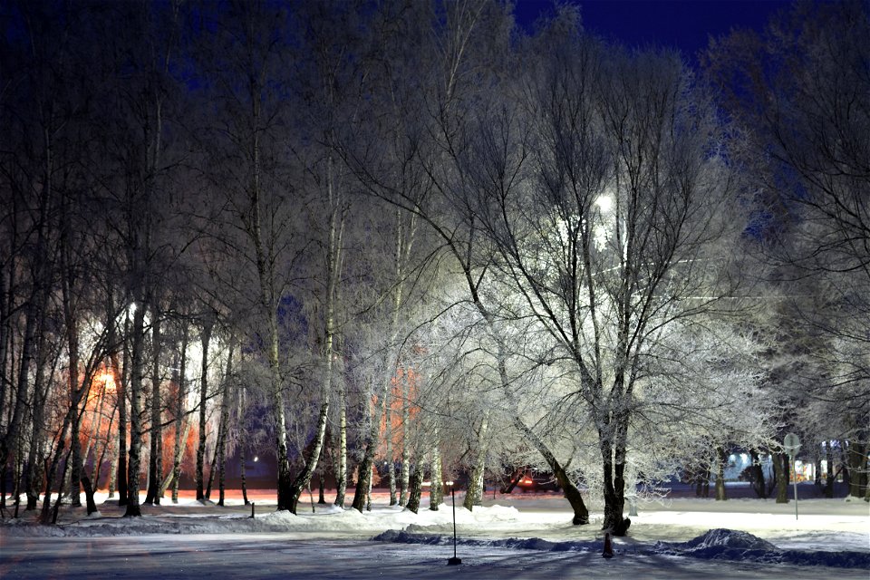 winter morning in the city park photo