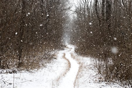 Winter & Park