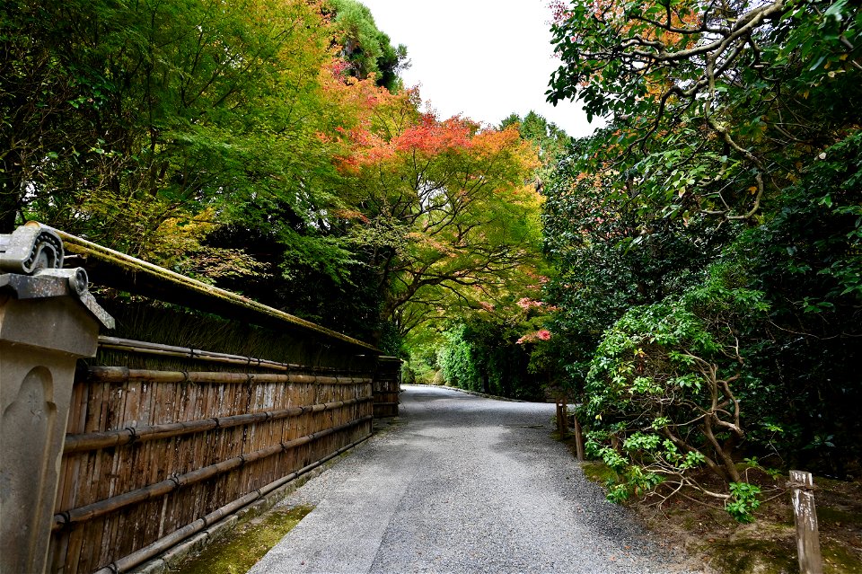 京都龍安寺/Kyoto Ryoanji