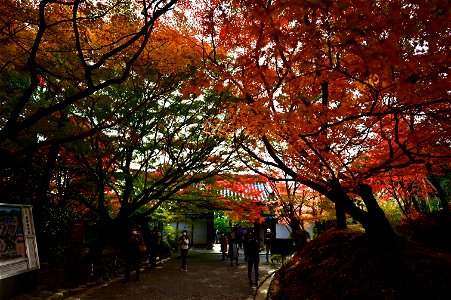 京都龍安寺/Kyoto Ryoanji photo