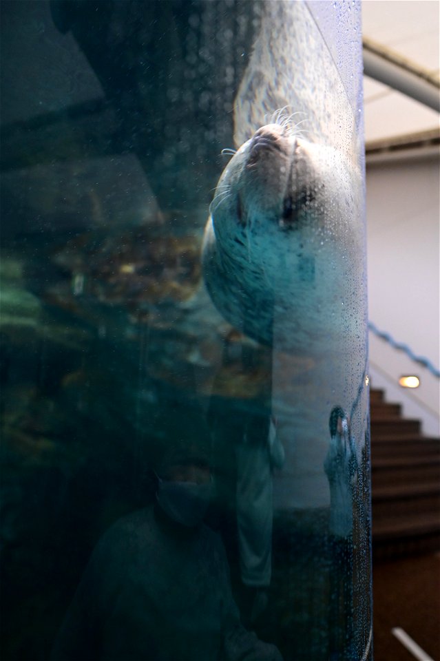 京都水族館 / Kyoto Aquarium
