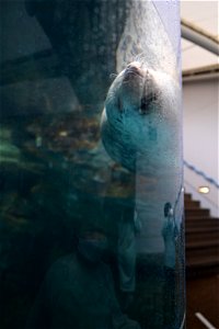 京都水族館 / Kyoto Aquarium