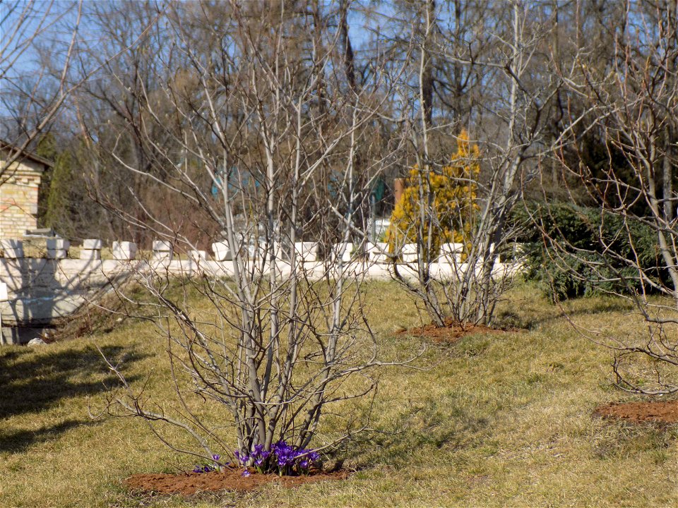 Hryshko National Botanical Garden