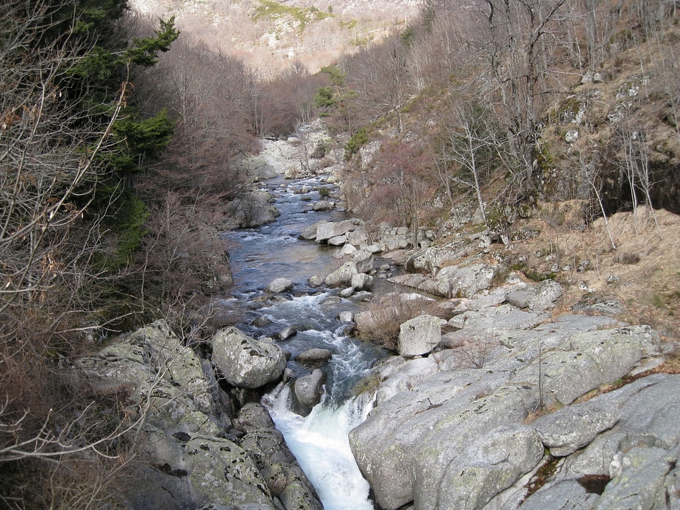 Transparent water in river with stone