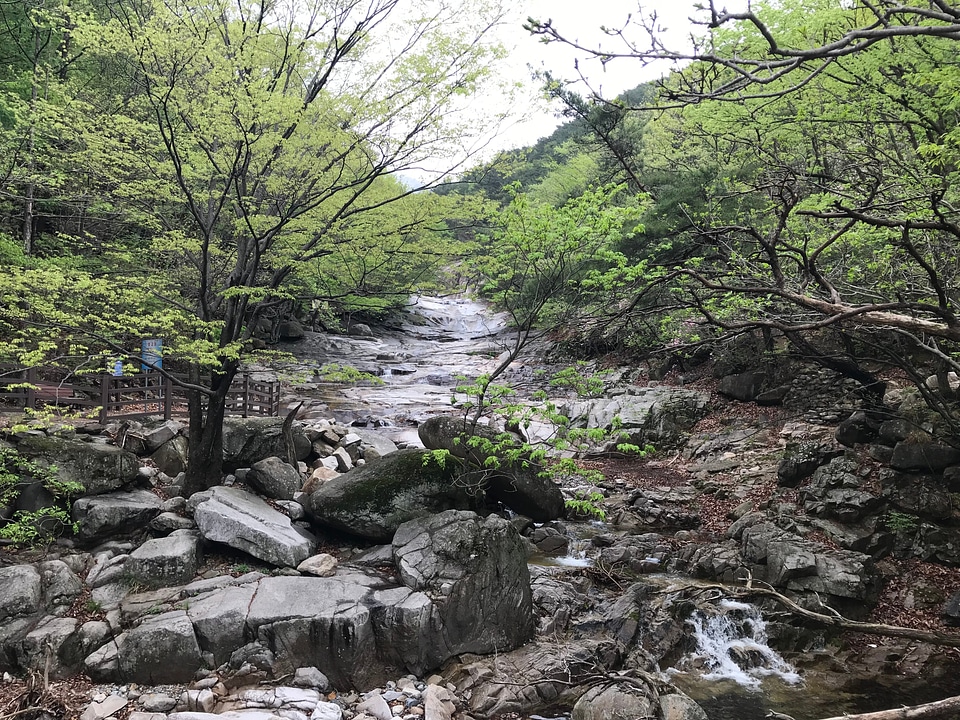 Gajisan state park in South Korea