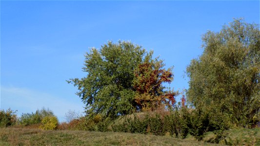 Hryshko National Botanical Garden