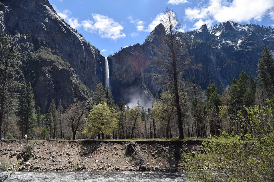 Yosemite National Park