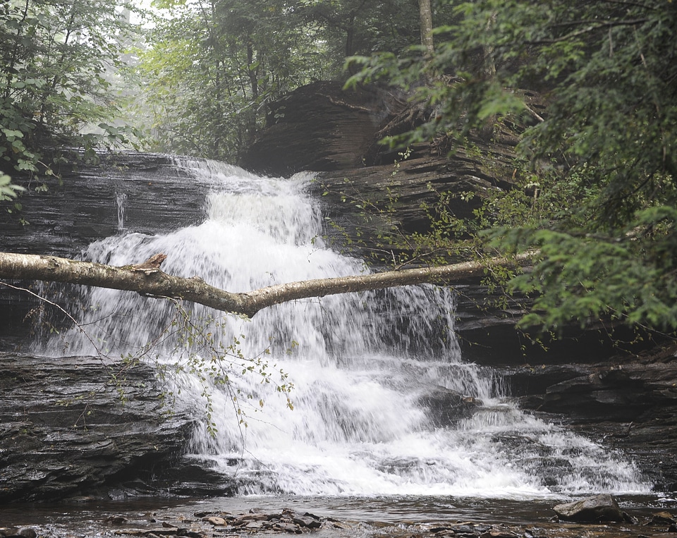 Ricketts Glen State Park
