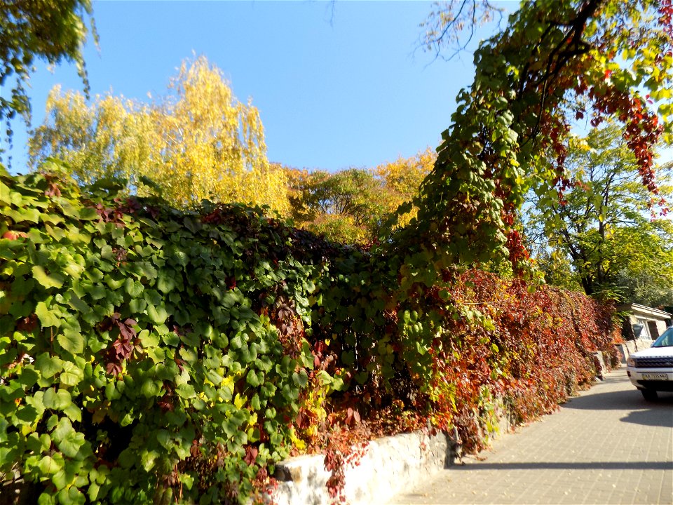Hryshko National Botanical Garden