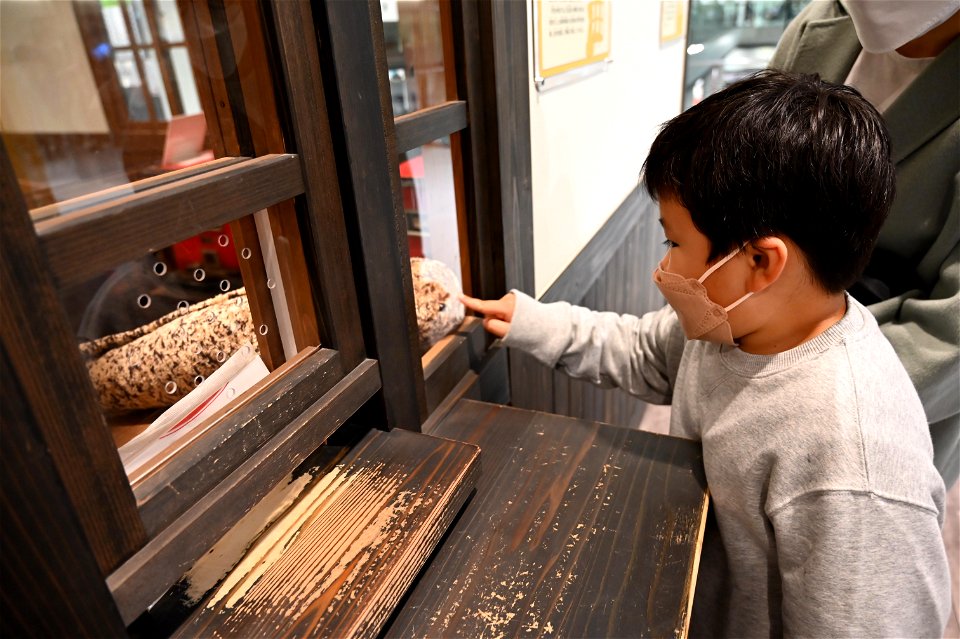 京都鉄道博物館 / Kyoto Railway Museum
