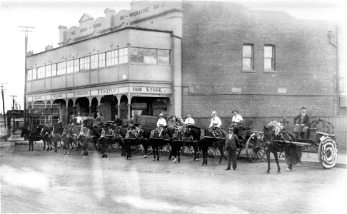 Delivery carts and horses outside Kurri Kurri Co-operative Sore, Kurri Kurri, NSW, [n.d.] photo