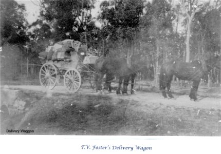 T. V. Foster's delivery wagon, [n.d.]