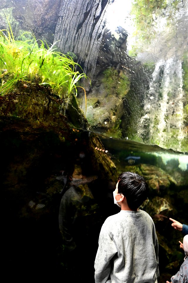 京都水族館 / Kyoto Aquarium