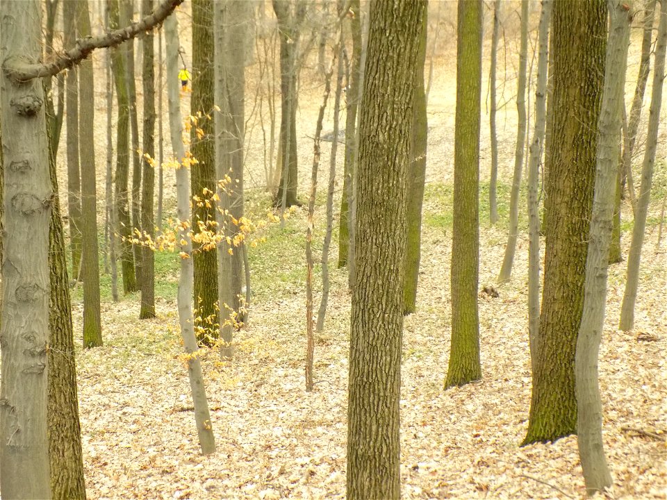 Hryshko National Botanical Garden