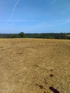 Ozark 20220723-003-01 (32653)