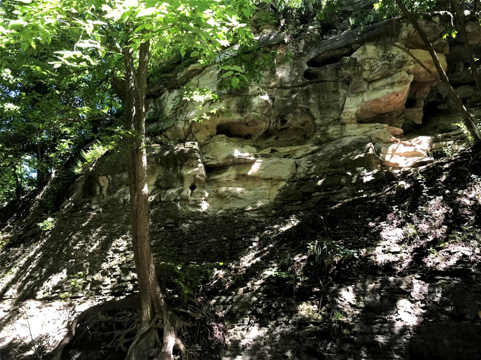 Burlington-Pierson Limestone and Sedalia Formation Contact