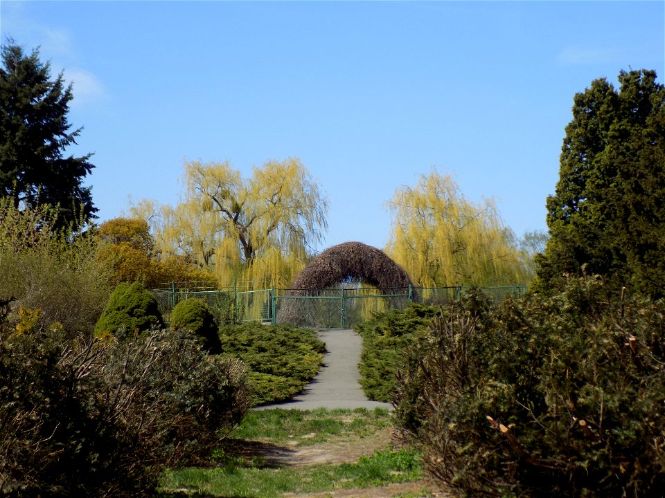 Hryshko National Botanical Garden
