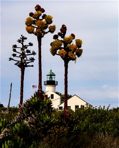 20210209-IMG_9108