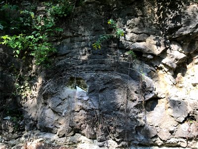 Sediment deformation over a large bioherm