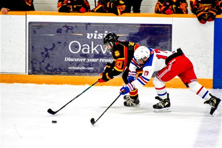DSC_3365.jpg