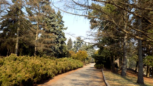 Hryshko National Botanical Garden