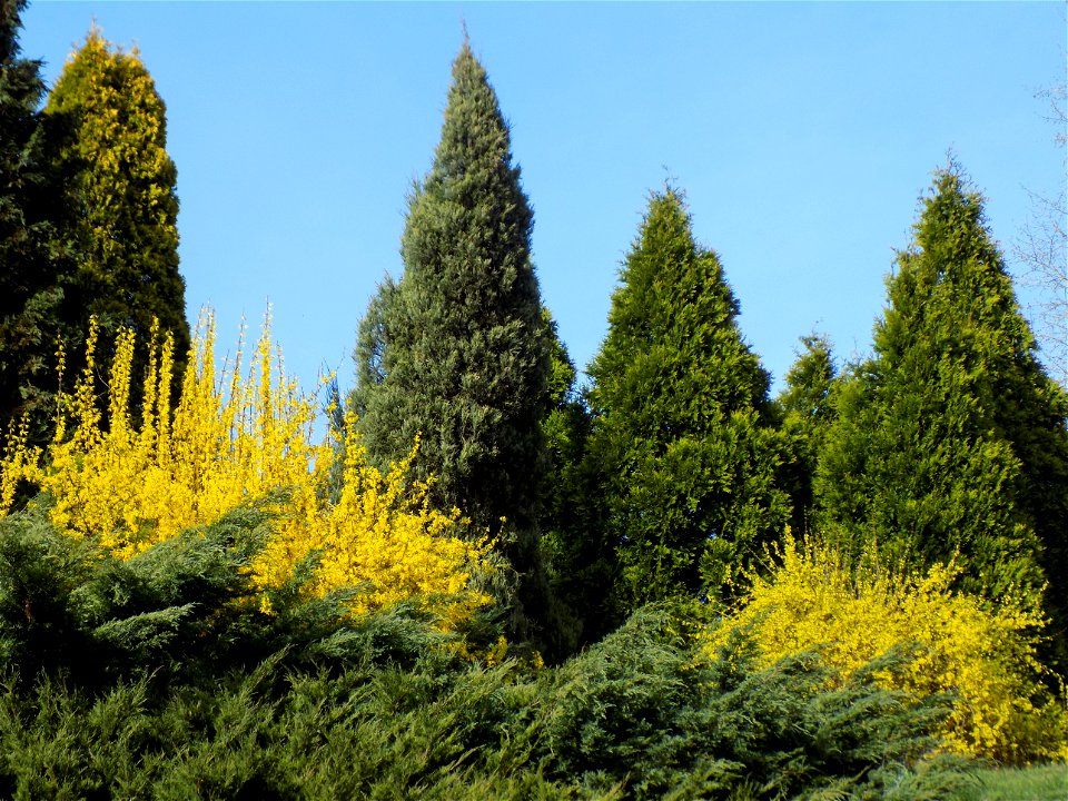 Hryshko National Botanical Garden