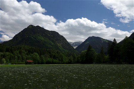 IMG_7121