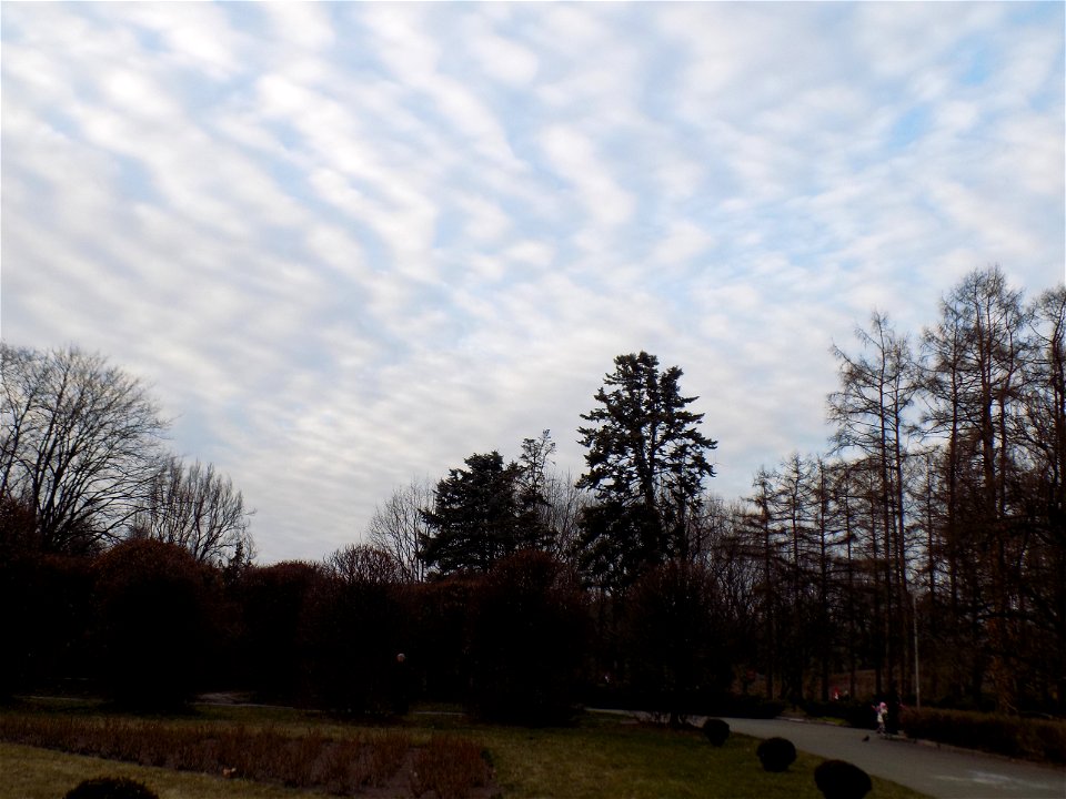 Hryshko National Botanical Garden