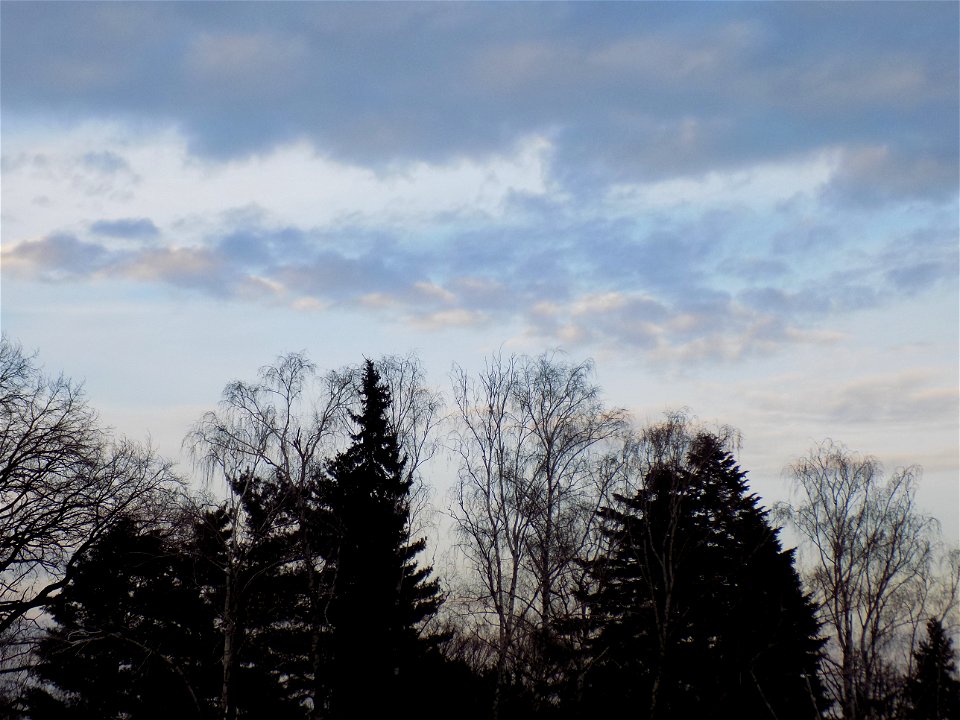 Hryshko National Botanical Garden