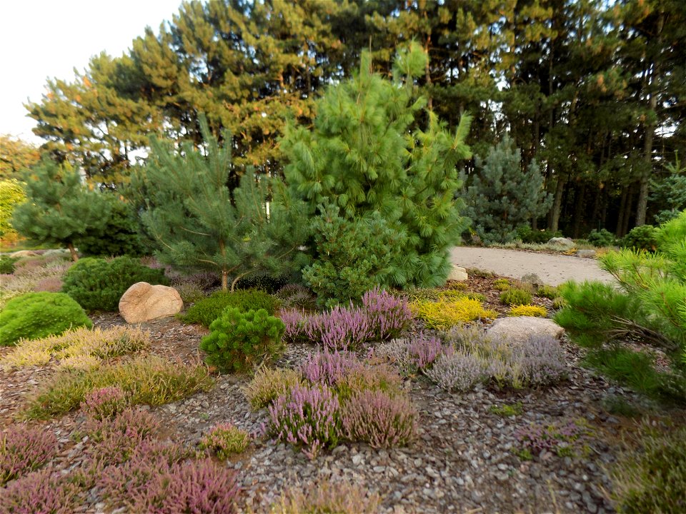 Hryshko National Botanical Garden