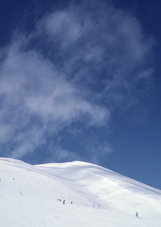 skiers skiing on fresh powder snow