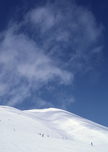 skiers skiing on fresh powder snow photo
